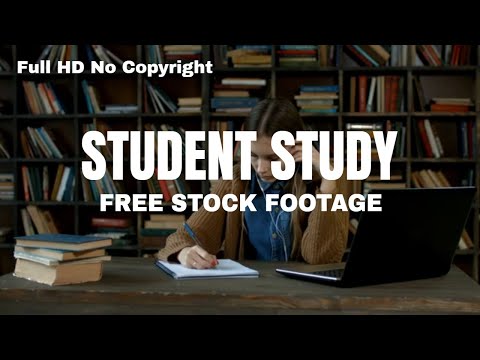 Free Full HD Study Stock Footage Video Collection No Copyright
