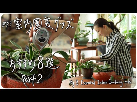 園芸 磁器ブライヤー