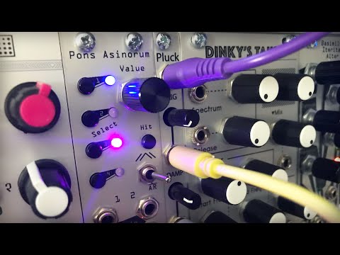 Dawless Eurorack Jam · 2hp Pluck / Basimilus Iteritas / Electro-Harmonix 2880 Looper