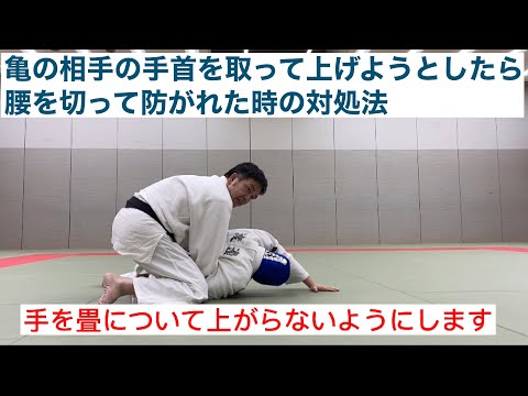 【柔道寝技】亀の相手の手首を取って上げようとしたら腰を切って防がれた時の対処法