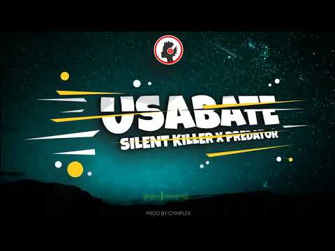 ChiPredator ft silent killer 2023 Music