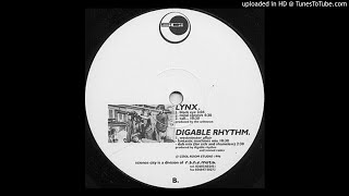 Digable Rhythm - Westminster Affair (Fantastic Machines Mix)