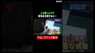 人を襲ったクマの体毛を分析すると…【クロ現】| NHK | #shorts
