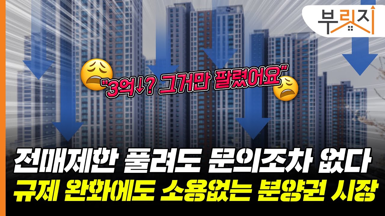 [부릿지PICK]"전화는 오는데, 사는 사람은 없어요ㅜㅜ" 반쪽짜리 규제 완화에 눈물나는 사람들