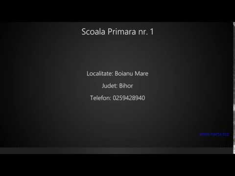 Scoala Primara nr. 1 Boianu Mare
