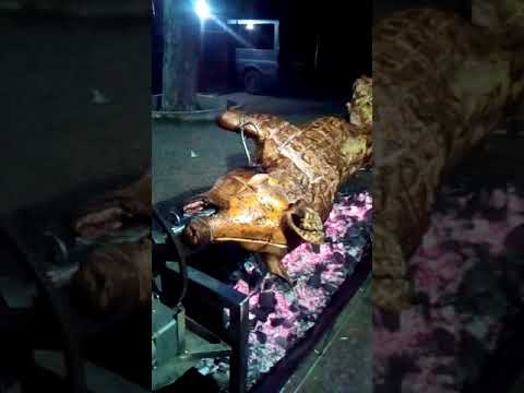 Cabana vânătorilor Resca Nea Marin Protap