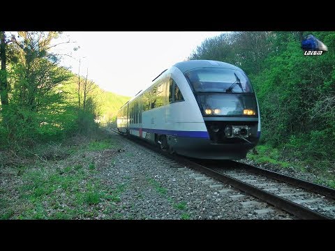 R3074 Oradea-Cluj Napoca & Mecanic Super Engineer in Defileul Crișului Repede Canyon - 16 April 2019