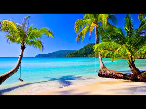 4k UHD Tropical Beach & Palm Trees on a Island, Ocean Sounds, Ocean Waves, White Noise for Sleeping.