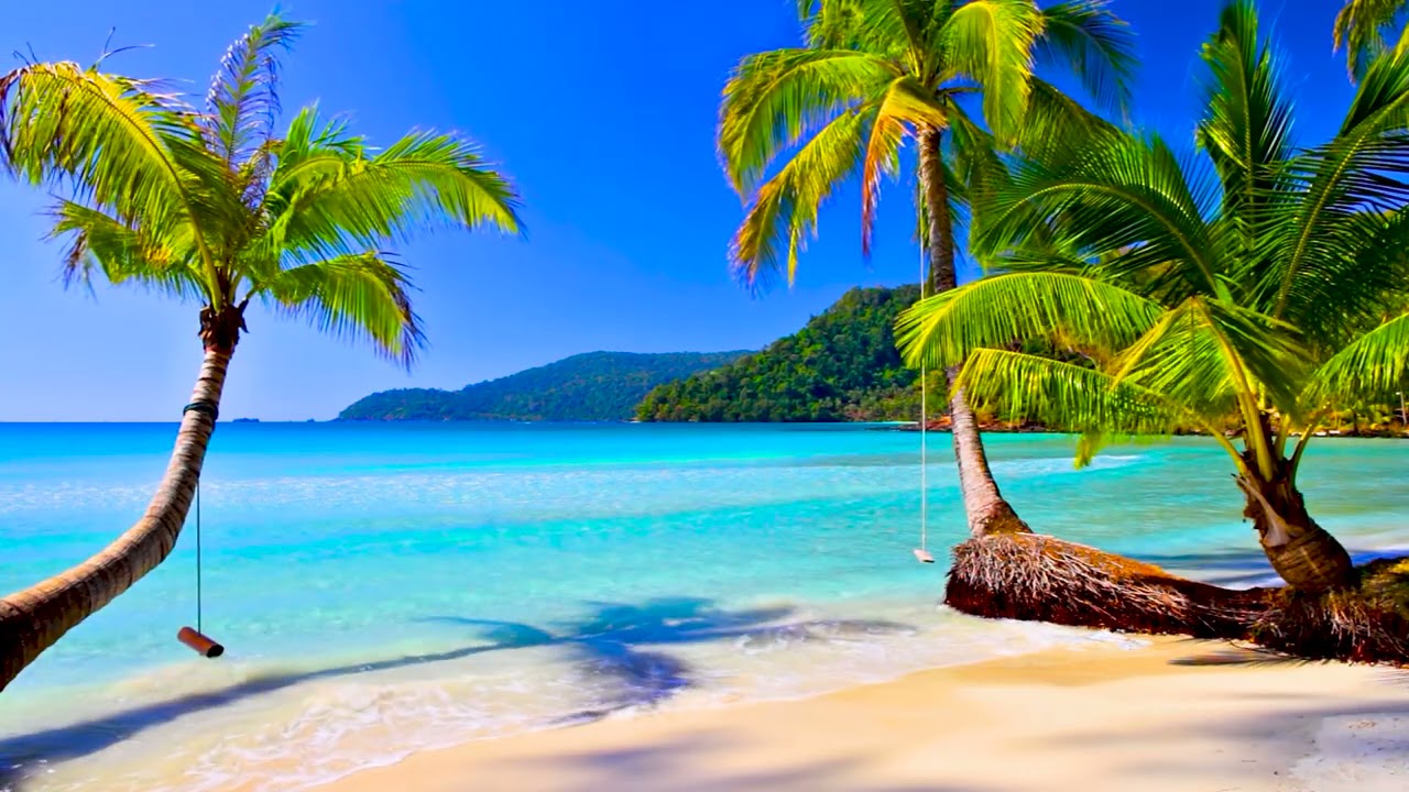 4k UHD Tropical Beach & Palm Trees on a Island, Ocean Sounds, Ocean Waves, White Noise for Sleeping.