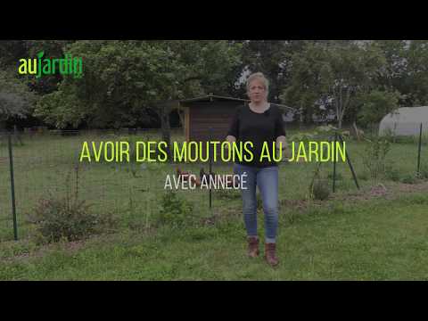 , title : 'AVOIR des MOUTONS au JARDIN 🐑'