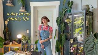 plant shopping, water with me, & help me choose new curtains 🌷🏡🌿