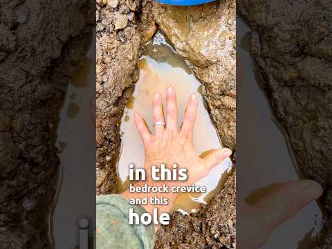 Crazy Amount of Freedom Seeds Found Gold Prospecting! Gold Panning!