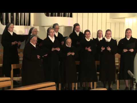 Die Antwortpsalmen - Erscheinung des Herrn Lesejahr A