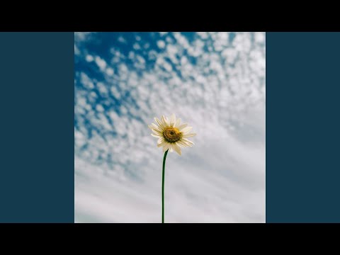Ian Woodhouse - I Wander Through My Life - Misc Originals