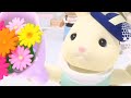 The Big Reveal! 👀 Calico Critters