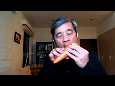 download lagu mp3 mp4 Melodys Ocarina, download mp3 Melodys Ocarina free download mp3, download mp3 Melodys Ocarina