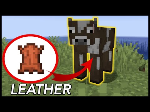 How To Get Leather In Minecraft