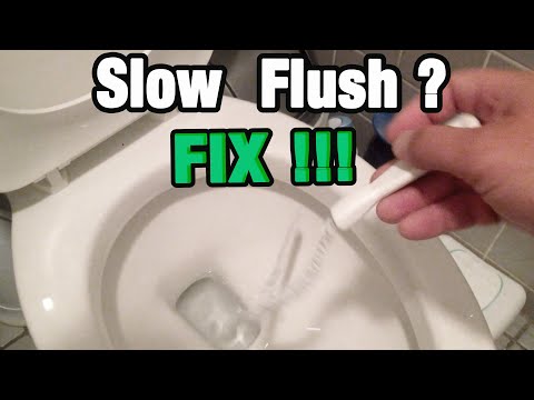 image-Why won’t my Toilet Flush? 