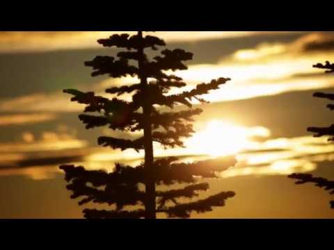 Trupa CALEnDAR - Permanenta iarnă (cântece de munte)