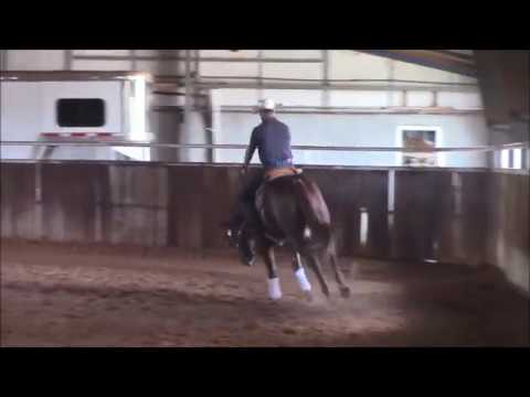 Xtra Bring Em Out- 2017 sorrel stallion