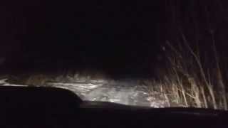 preview picture of video 'Ночные прогулки по лесу часть 1'