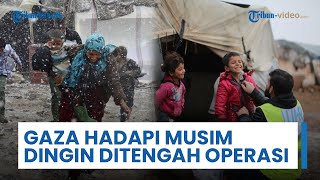 Pasca-Gencatan Senjata, Bantuan Tenda Mulai Dikirim ke Palestina untuk Hadapi Musim Dingin
