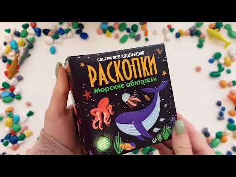 Миниатюра изображения товара Набор для опытов Bumbaram Морские обитатели / dig-64