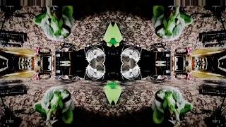 Video UFONS - UFOMRDA 3000 "Zpřístupněte Všechny Své Otvory" (Official