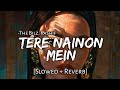 Tere Nainon Mein Slowed Reverb The Bilz Kashif Beats Peacock TextAudio Lyrics Music Lover