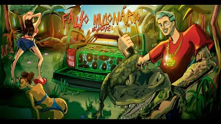 Falso Milionário Lyrics English Translation