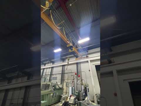 NELSON 2 ton crane CRANES | INJECTION DEPOT GROUP (1)