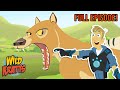 Back In Creature Time Tasmanian Tiger Season 3 Full Episode Wild Kratts