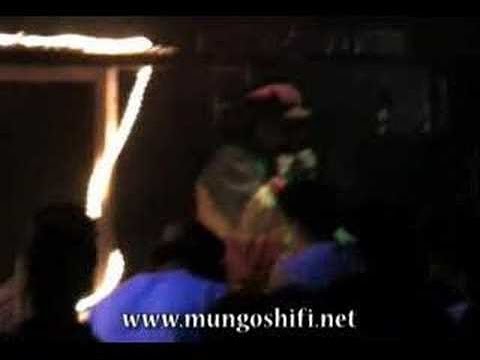 Mungo's Hi Fi ft Ranking Joe at the Art School 2006