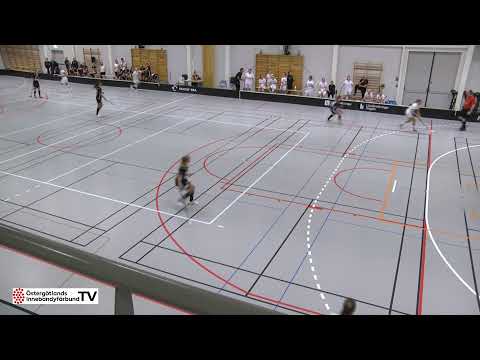 Linköping IBK- Fagerhult Habo IBK