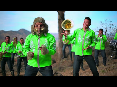 La Prendidísima Perla de Jerez - El Mamut