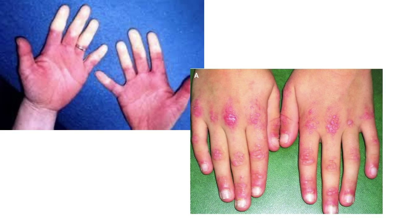 Silvia Esmeralda Pérez Topete-5