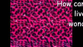 What If - Cheetah Girls Lyrics.wmv