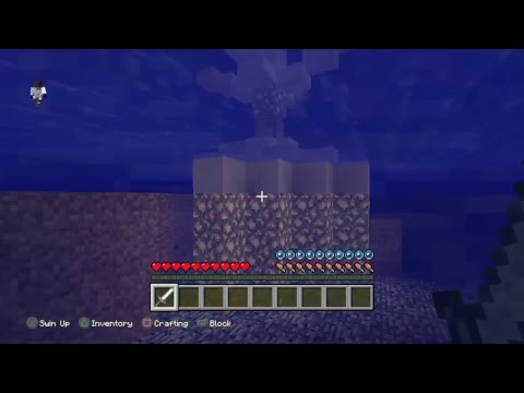 Toy Story Minecraft Hunger Games