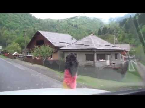 Preluci Diaconeşti Agăş Cotumba Brusturoasa 12A Județul Barchau Bacău Siebenbürgen Rumänien 20.4.16