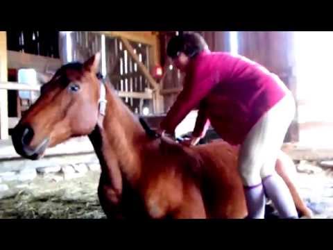 CashKarlosAndBlue’s Video 111372987050 BNco7Uy11cU