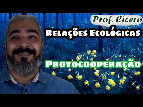 O que é Protocooperação