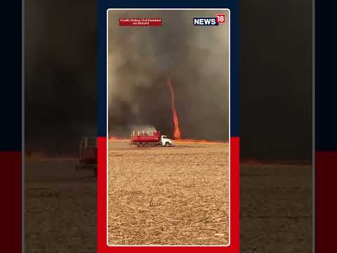 Firenado | Fire Whirl Spins Over Burning Sugarcane Field in Brazil
