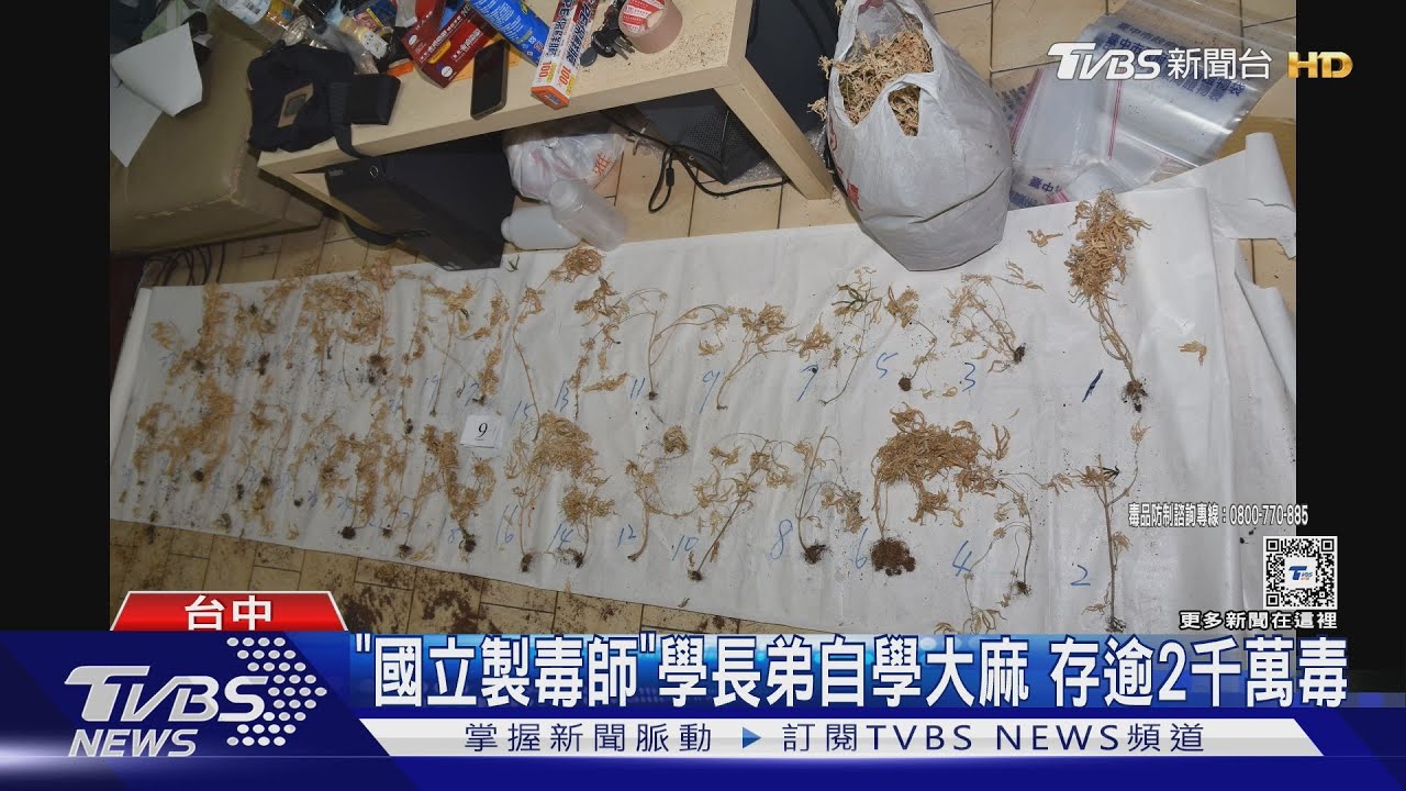 「國立製毒師」學長弟自學大麻!存逾2千萬毒