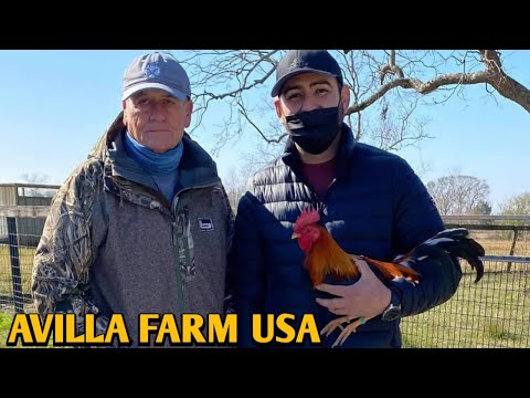 Pure Larry Romero Sweater - AVILLA FARM USA