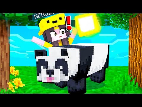 HO TROVATO IL PANDA PIÙ RARO DEL SERVER DEGLI YOUTUBER! - Minecraft Big Vanilla