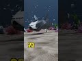 Clown Fish Vs Bloop