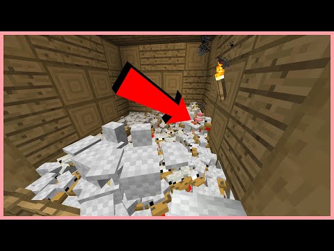 VAJČKOMAT! - S05E20 MC LP