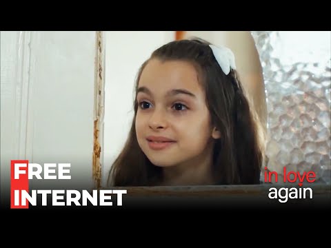 Operation Get Şaziment Out Of The Room - In Love Again