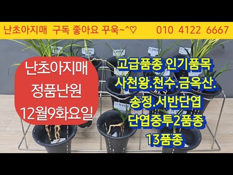 유튜브 썸네일
