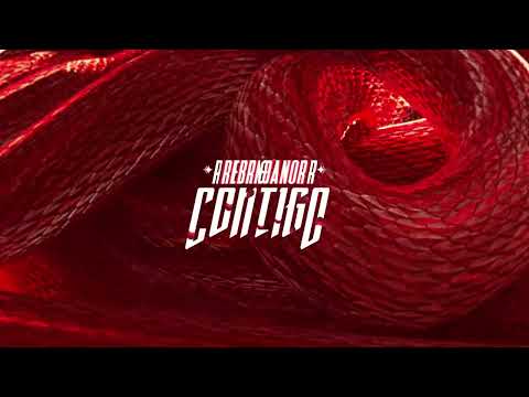 REBRN & DANOR - Contigo (Official Visualizer) Warner Music
